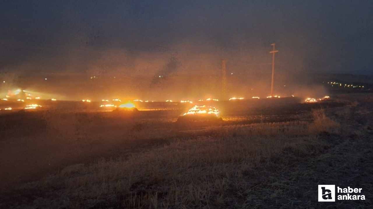 Beypazarı'nda çıkan yangında 50 dönüm arazi zarar gördü