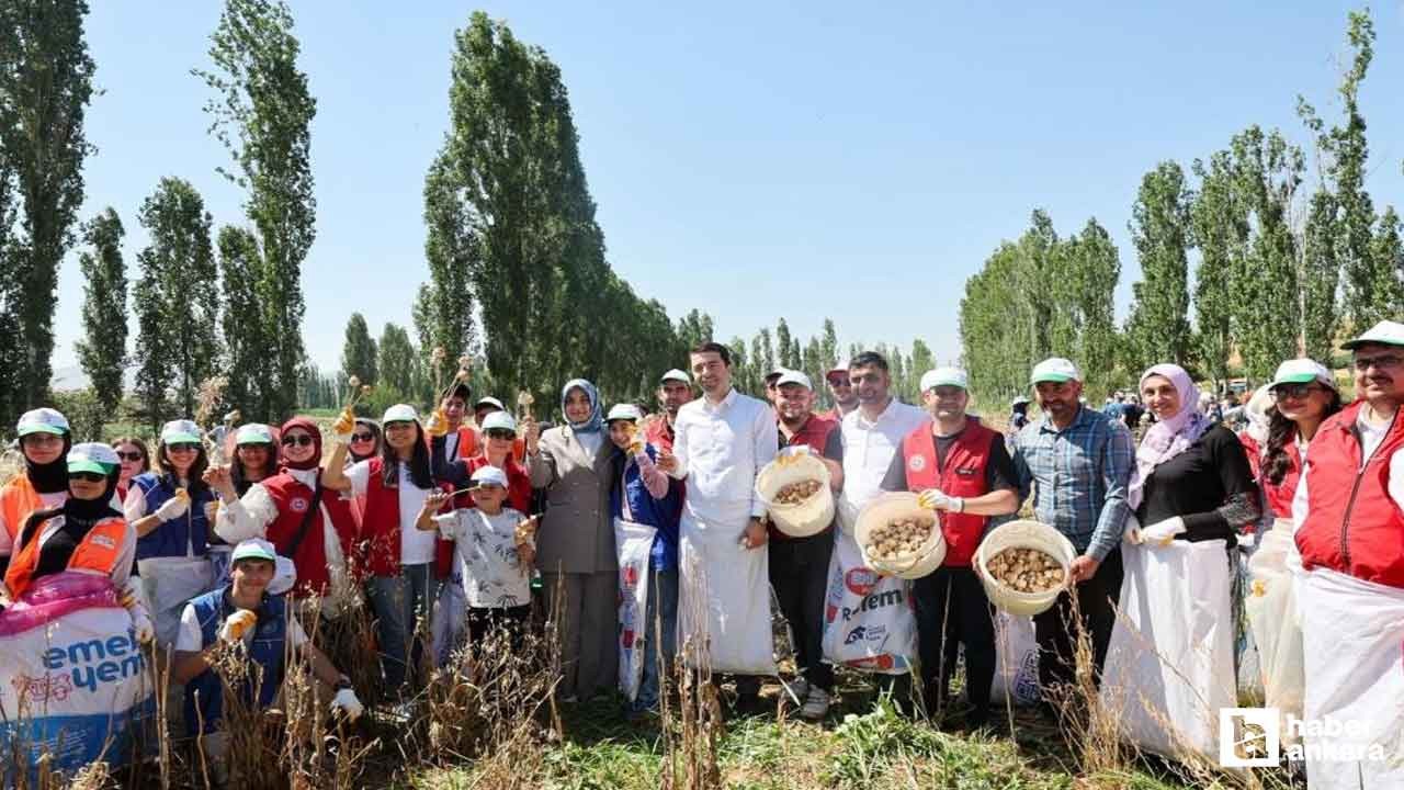 Gençler hasat etkinliği ile tarıma yönlendiriliyor