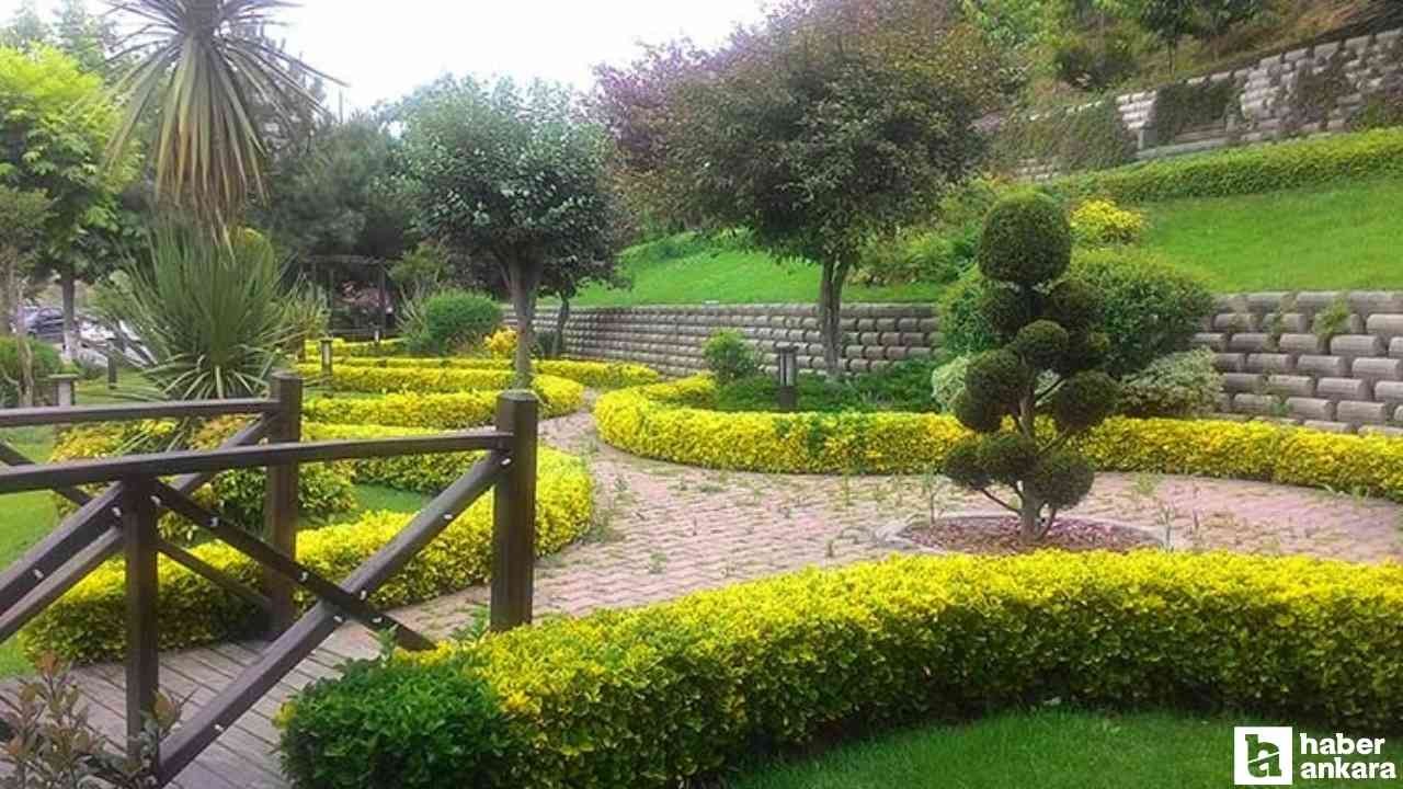 Başkentlilerin en sevdiği parklar arasında: İçinde tam 80 farklı bitki türü var