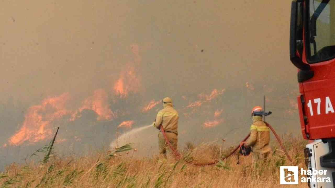 Çanakkale'deki orman yangını rüzgarın etkisiyle hızla büyüyor