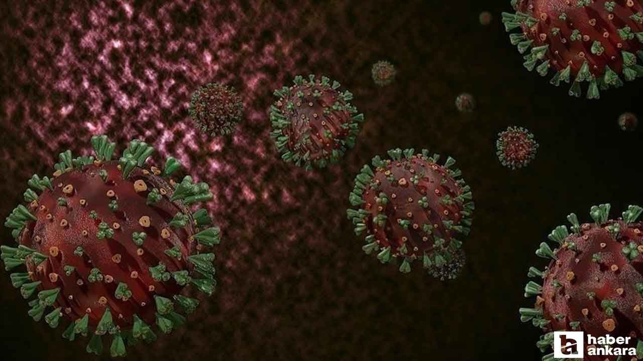 DSÖ'den yeni aşı çağrısı: M Çiçeği Virüsü için uyarı geldi!