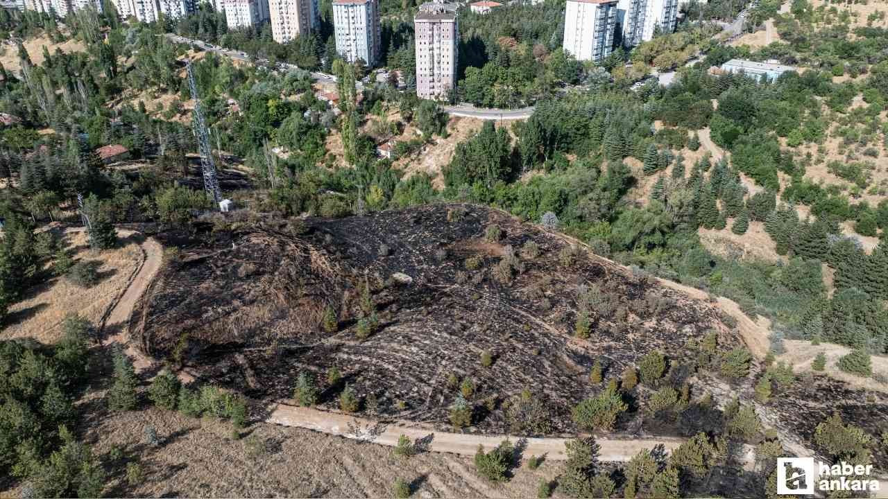Çankaya'da çalılık alanda çıkan yangın kısa sürede söndürüldü