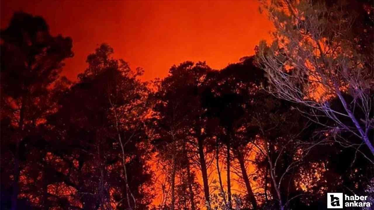 Hırvatistan'daki orman yangını kontrol altına alınamadı!