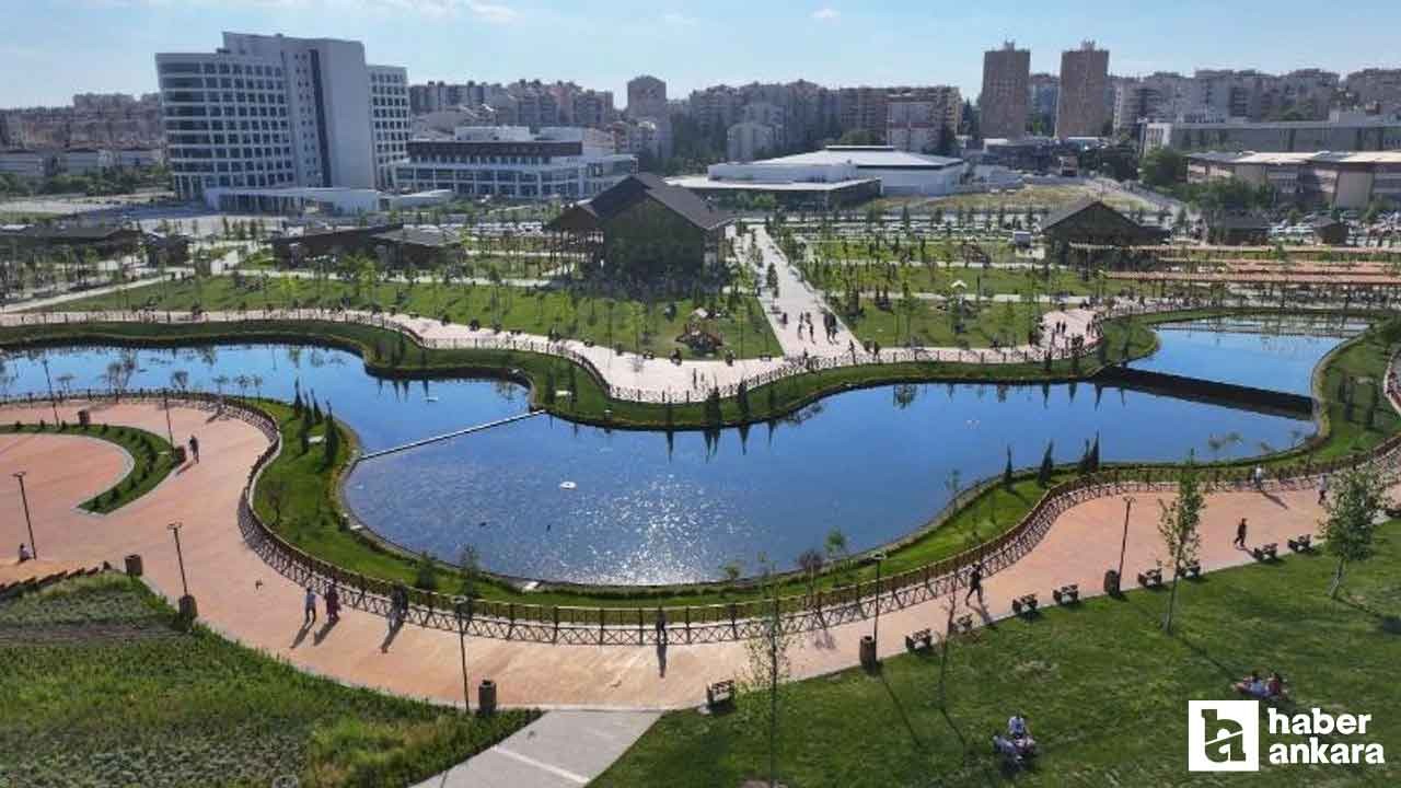 Ankara'nın merkezinde keşfedilmemiş bir park: Dev bir yeşil alan!