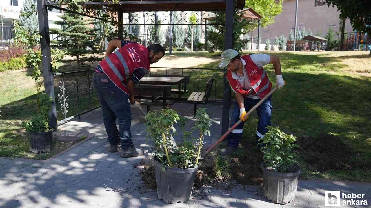 Keçiören Belediyesi park ve yeşil alanların bakımına devam ediyor