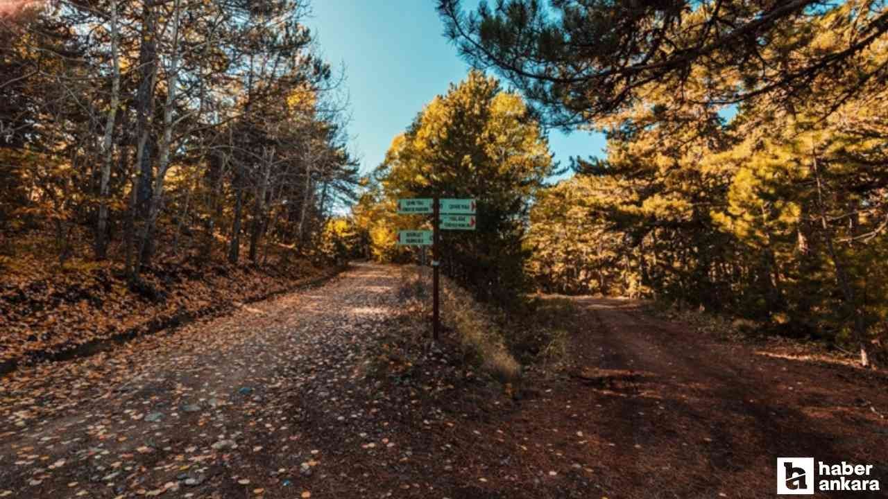 Ankara'daki bu milli park ormanlarıyla İç Anadolu ve Karadeniz arasında doğal geçit oluşturuyor