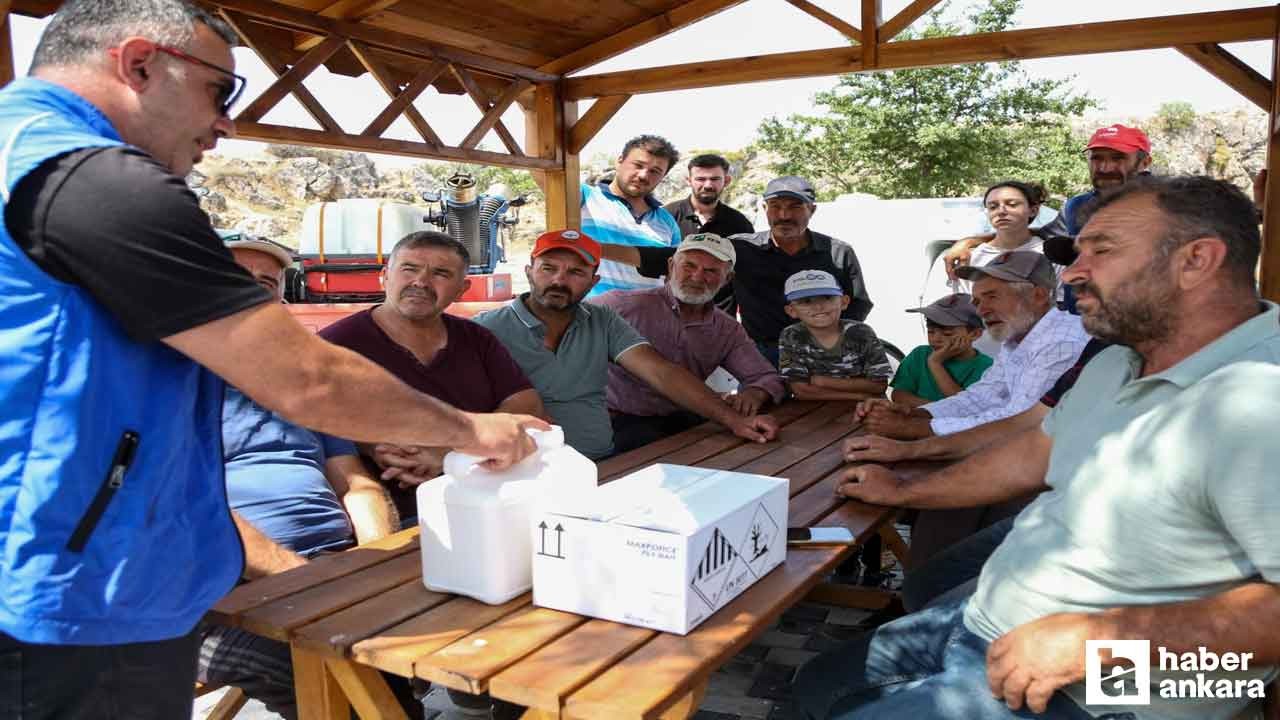 Etimesgut Belediyesi haşere ve vektörle mücadeleyi sürdürüyor!