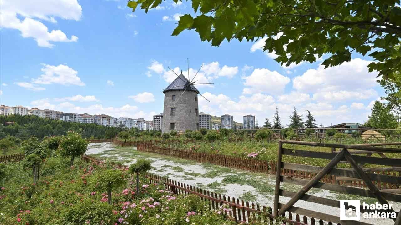 Altınköy Açık Hava Müzesi'nin yeni etkinlik takvimi açıklandı