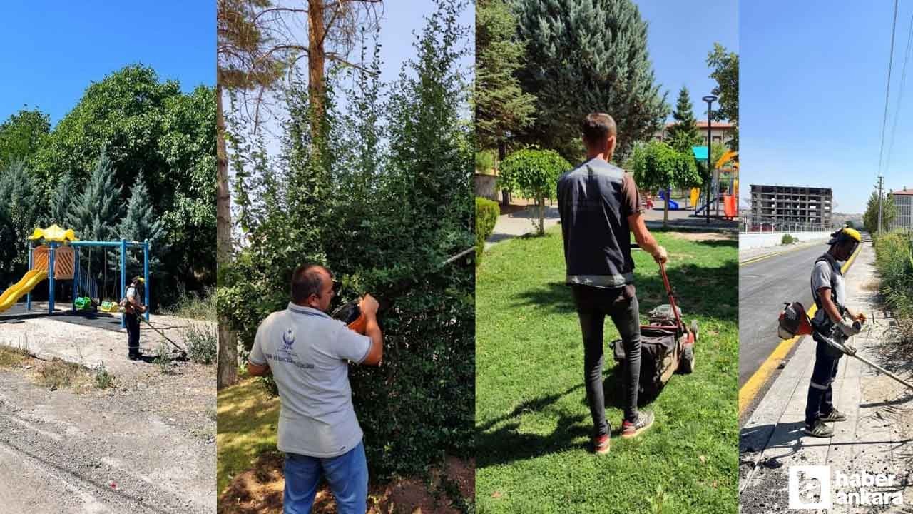 Kahramankazan Belediyesi'nden yabani ot ve çim biçme seferberliği