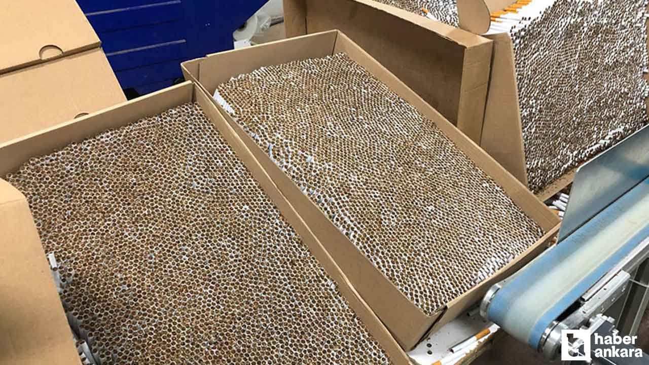 Kırşehir'de 264 bin kaçak makaron yakalandı