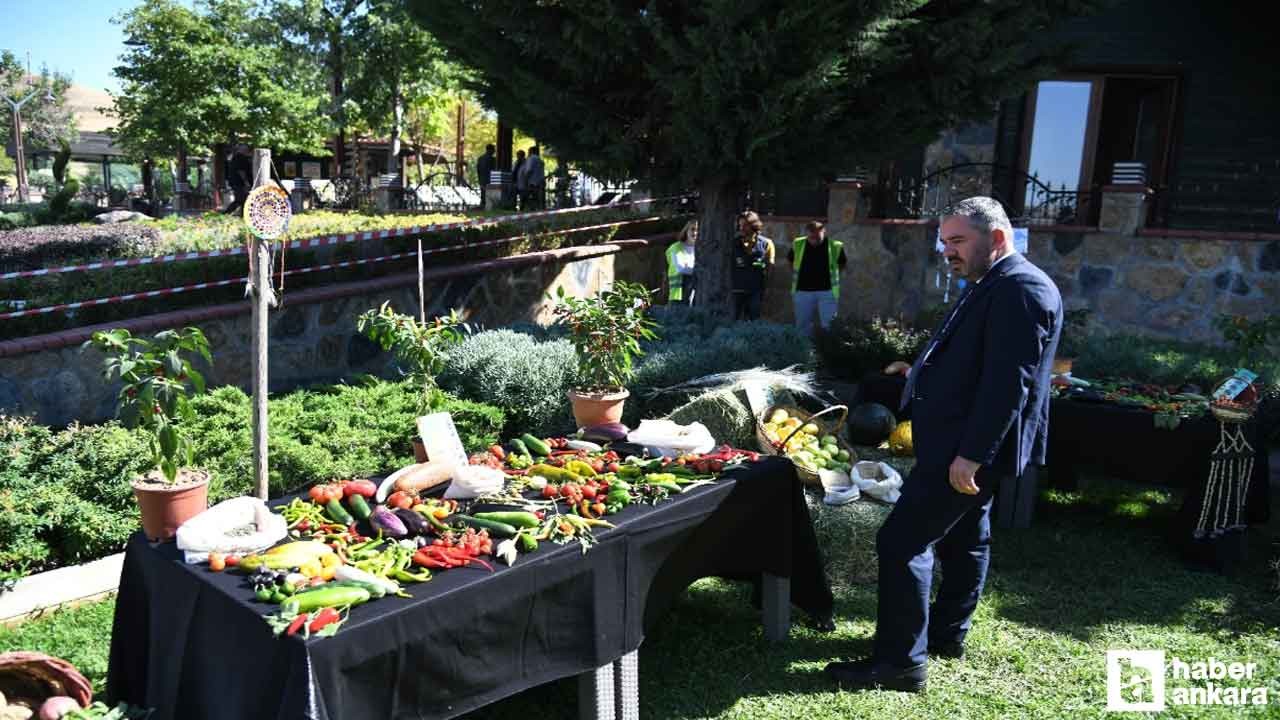 Pursaklar Belediyesi'nin teşviği ile 'Yerli Tohum' hasadı başladı