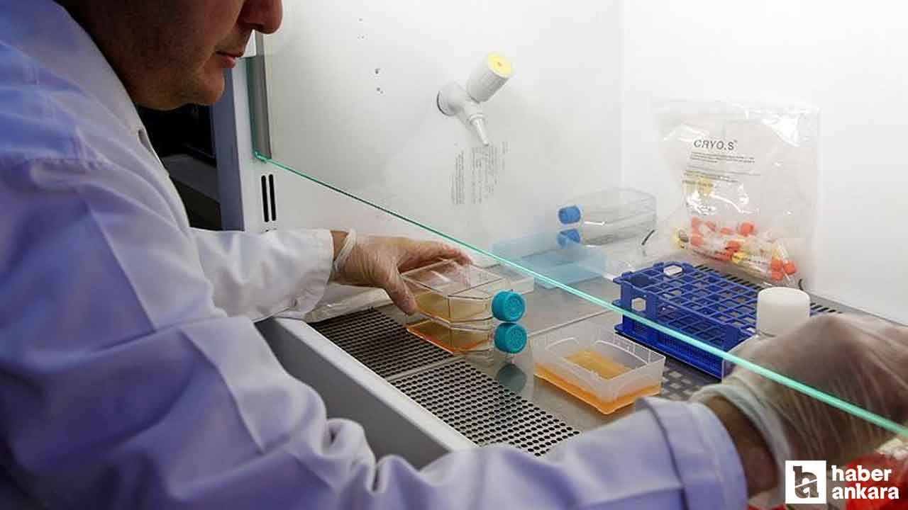 Prostat kanseri, erkeklerde en çok görülen ikinci kanser türü oldu