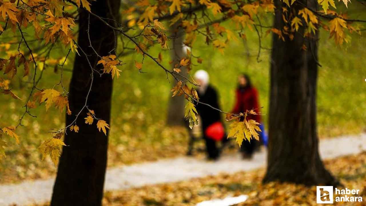 Ankara'da sıcaklık yarın 9 derece birden düşecek: Ceketleri çıkartın