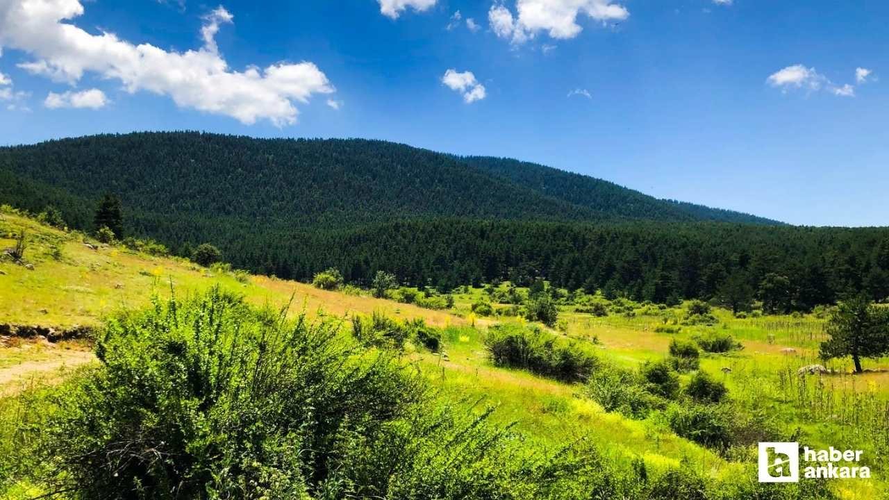 Ankara'da Karadeniz'i yaşatan tabiat parkı