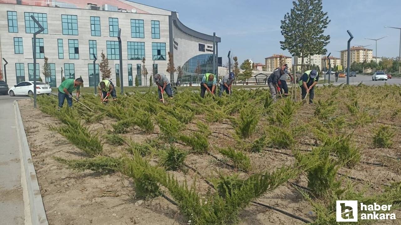 Etimesgut parklarında mevsimsel bakım çalışmaları sürüyor