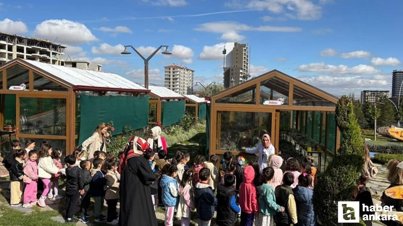Pursaklar'da öğrenciler doğayı Endemik Vadi'de keşfediyor