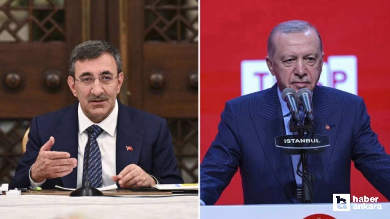 Cumhurbaşkanı Erdoğan'a Cevdet Yılmaz'ın vekalet etmesine dair karar