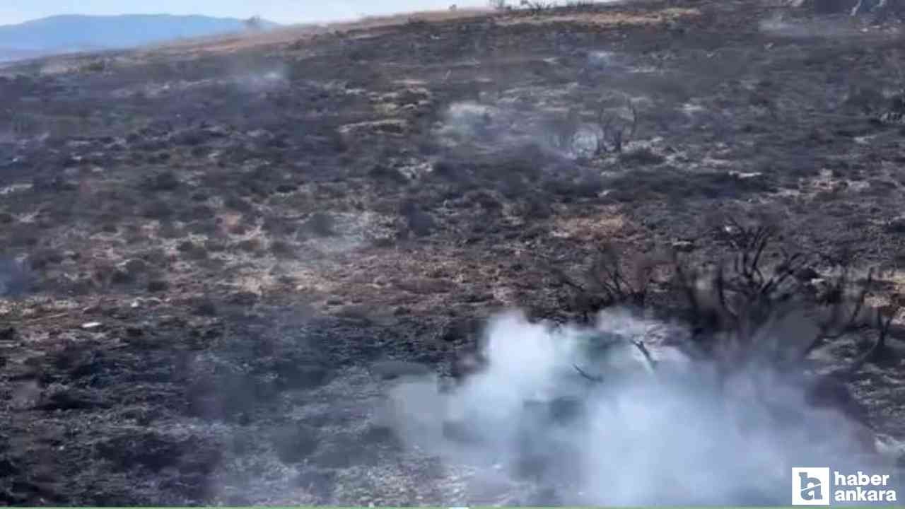 Çankırı'da korkutan arazi yangını!
