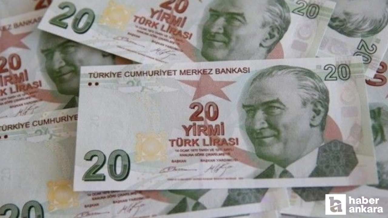 Merkez Bankası duyurdu: Yeni 20 TL banknotlar tedavüle girecek!