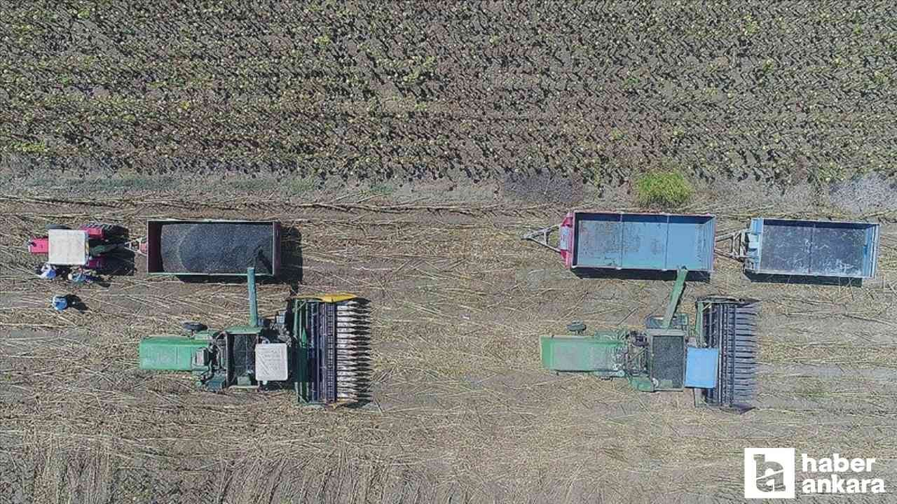 Çiftçilere 2 milyar 834 milyon TL'lik destekleme ödemesi yatırılacak