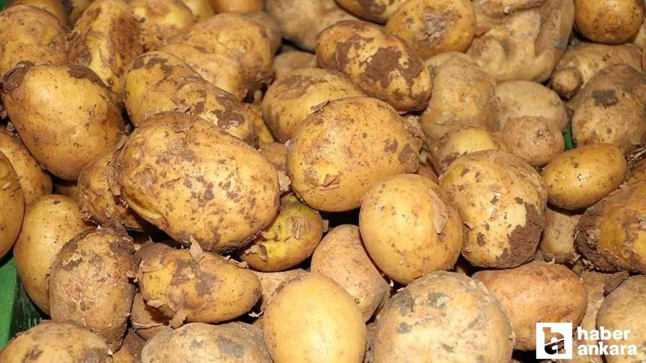 Ticaret Bakanlığı'ndan patates fiyatlarına ilişkin açıklama geldi!