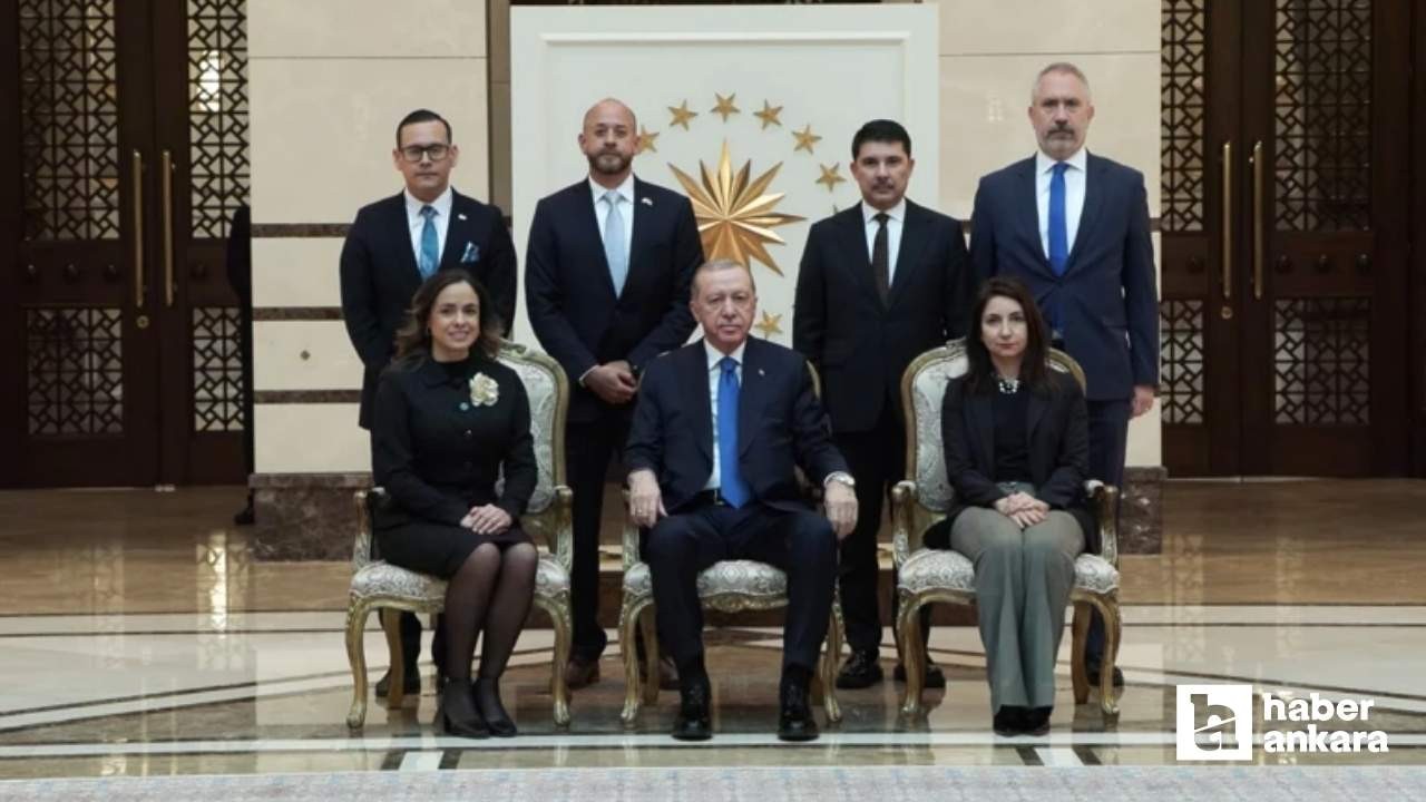 5 ülkenin büyükelçisi Cumhurbaşkanı Erdoğan'a güven mektubu sundu