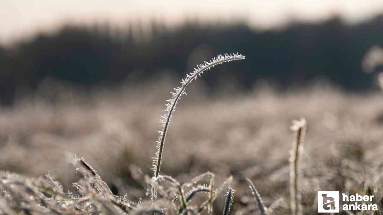 Zirai dondan etkilenen üreticilere 1 milyar TL'den fazla destek ödemesi yapıldı