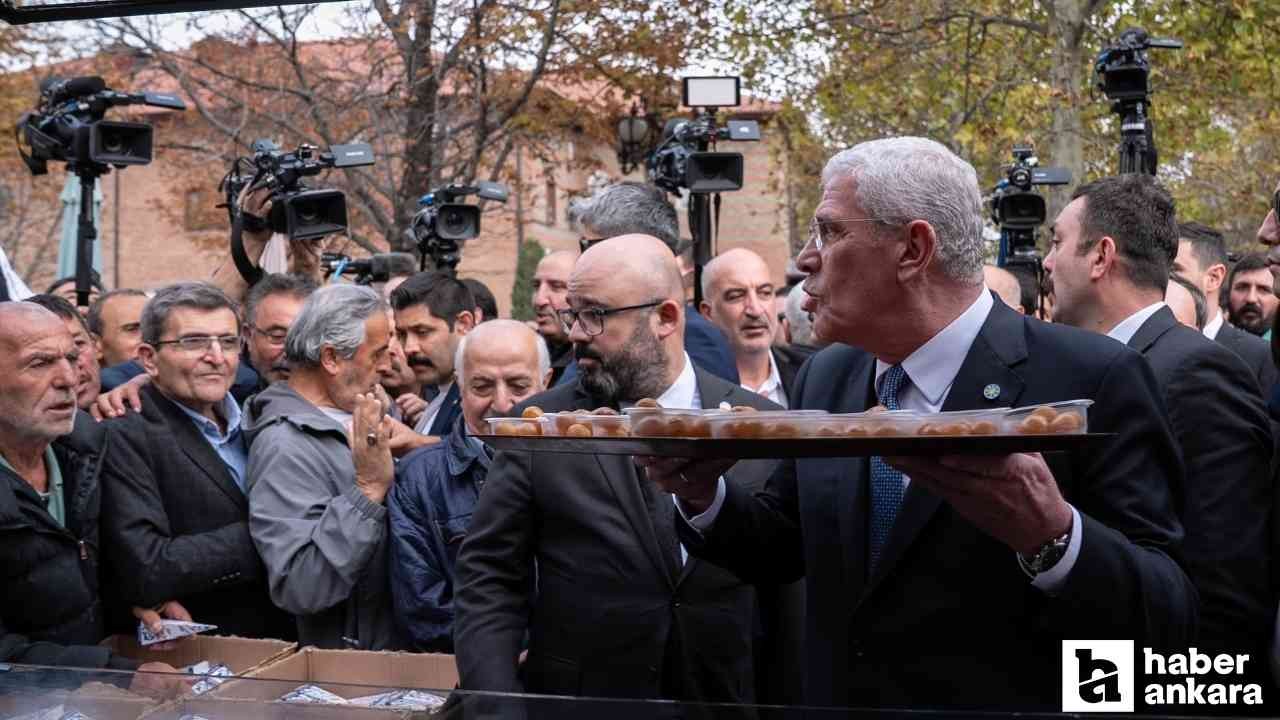 İYİ Parti Anıtkabir'e çıkan yollarda lokma dağıttı