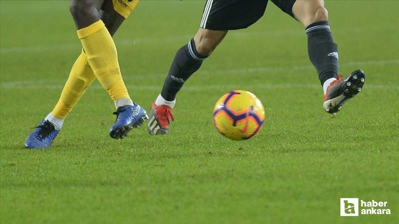 TFF'den 2. Lig ve 3. Lig için erteleme kararı