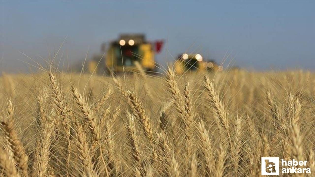 Tarım ÜFE verileri ekim ayında artış gösterdi