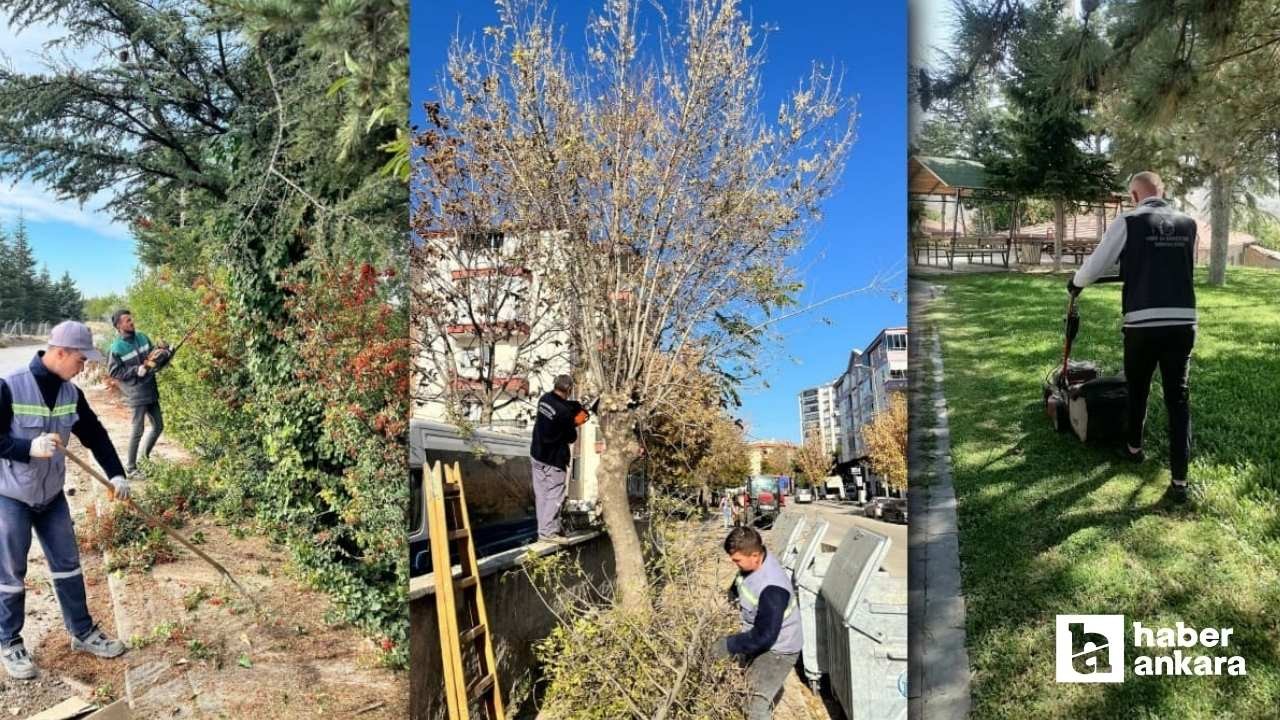 Kahramankazan'da park ve yeşil alanlarda sonbahar bakımı!