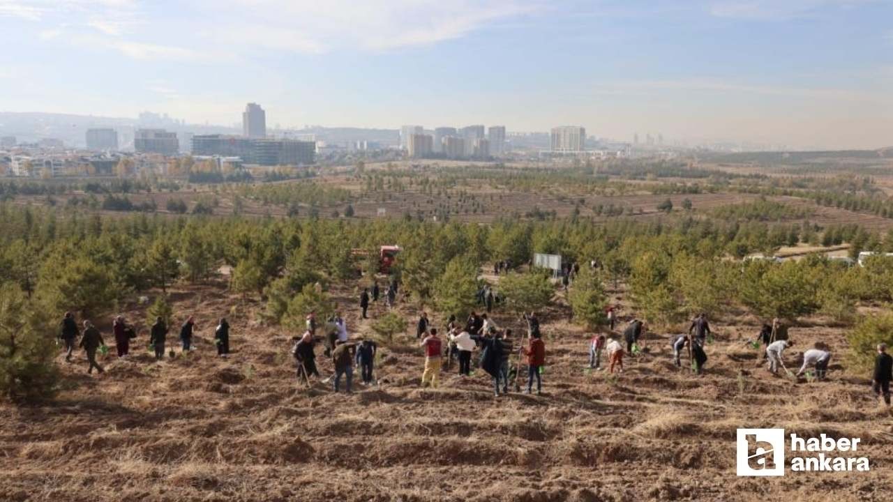 ÖSYM, 51’inci yılını AOÇ'ye fidan dikimi ile kutladı