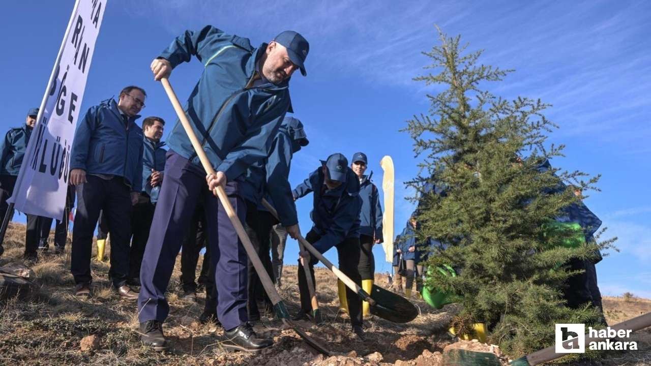 Bala'da PTT 185. Kuruluş Yıl Dönümü Hatıra Ormanı için fidanlar dikildi