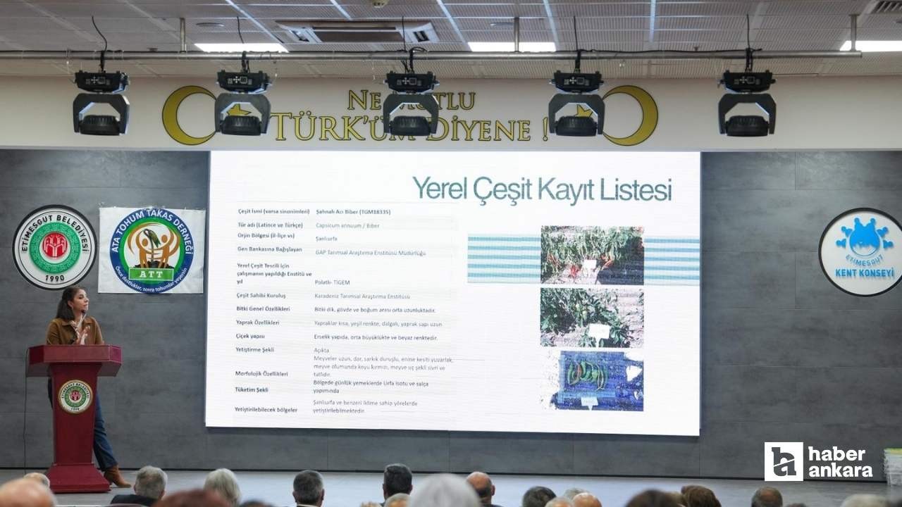 Etimesgut'ta Kışlık Ata Tohumu Takas Etkinliği düzenlendi