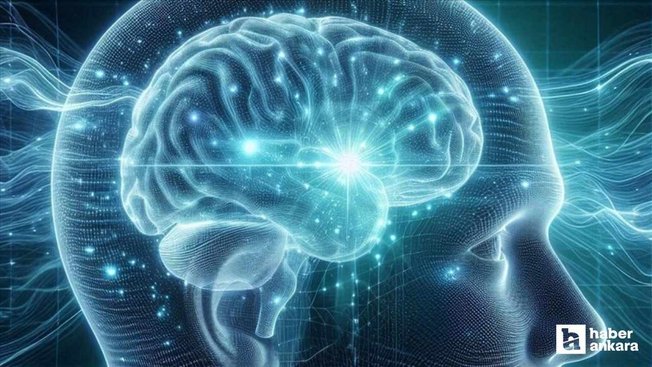 İnsan beyninin 5 gelişim evresinden geçtiği tespit edildi