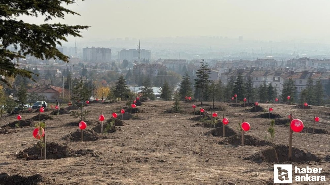 Sincan Belediyesi'nden kadına yönelik şiddete karşı farkındalık etkinliği!