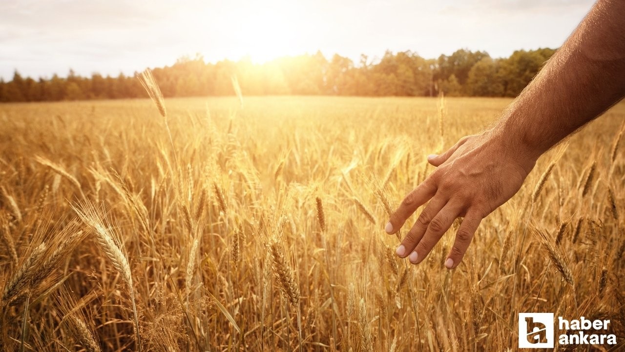 Kahramankazan Belediyesi'nden çiftçilere eğitim programı!