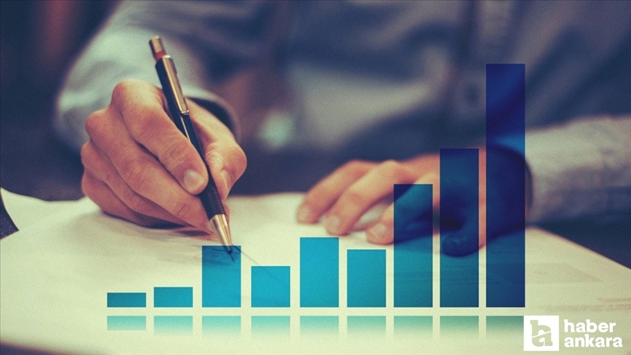 Başkentte 2024'te doğan girişimlerin oranı yüzde 7,5 oldu