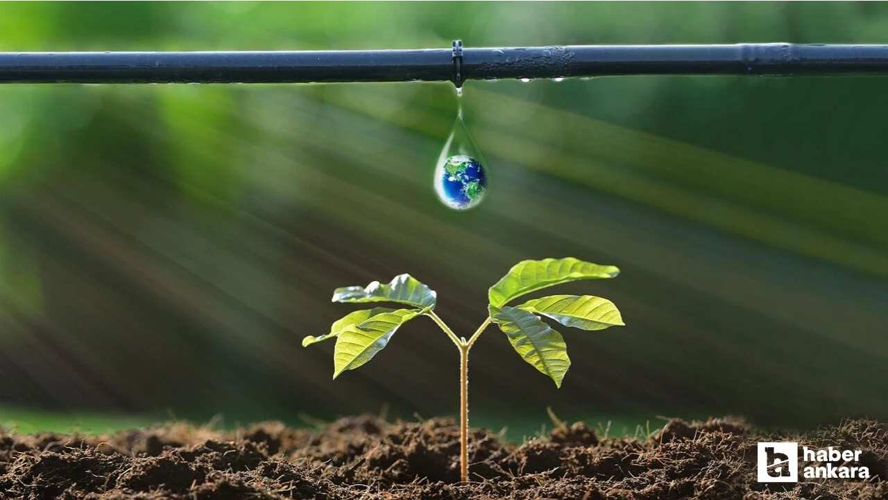 Ankara Büyükşehir Belediyesi'nden üreticilere yüzde 50 hibeli destek