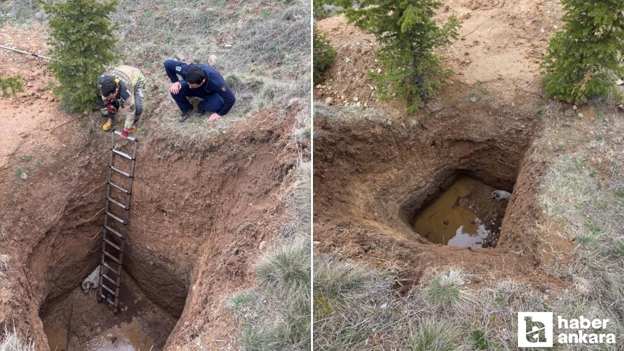 Akyurt'ta çukura düşen köpeği itfaiye ekipleri kurtardı