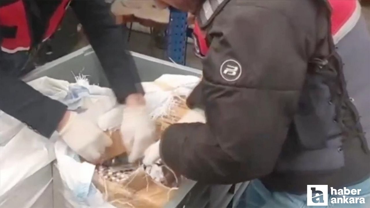 Sosyal medya üzerinden yasaklı madde satışı yapanlara operasyon: 99 tutuklama