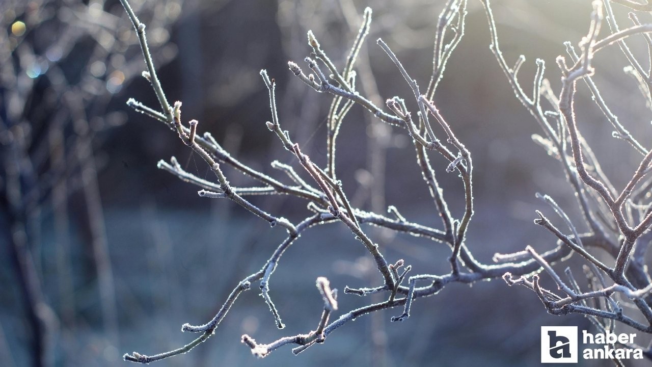 Başkent için zirai don uyarısı yapıldı!