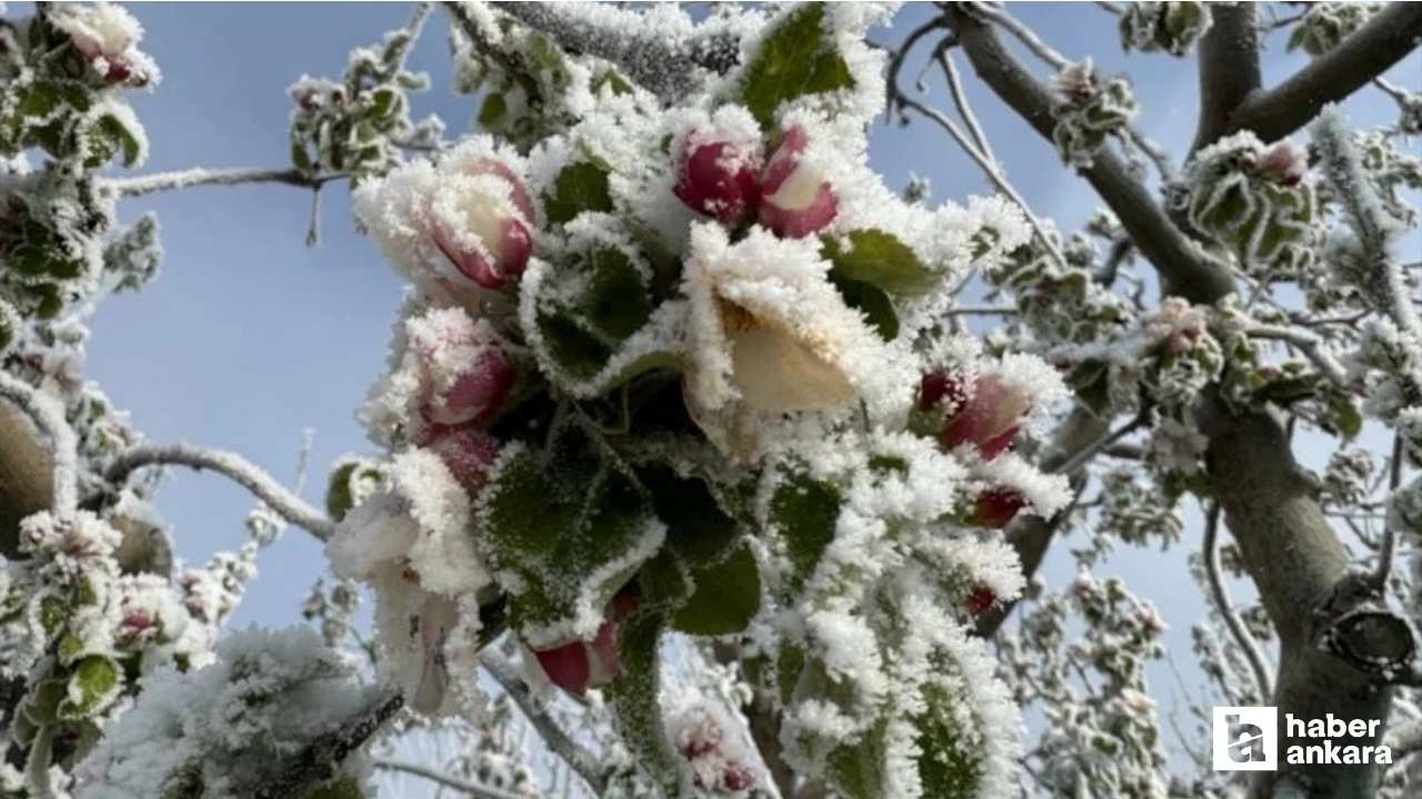 Tarım ve Orman Bakanlığı'ndan çiftçilere zirai don uyarısı