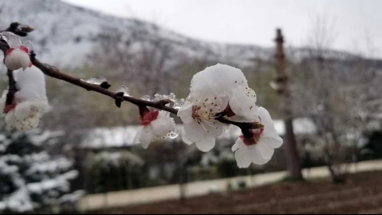 Nisan kışı aratmadı, Çamlıdere gece -10 dereceyi gördü!