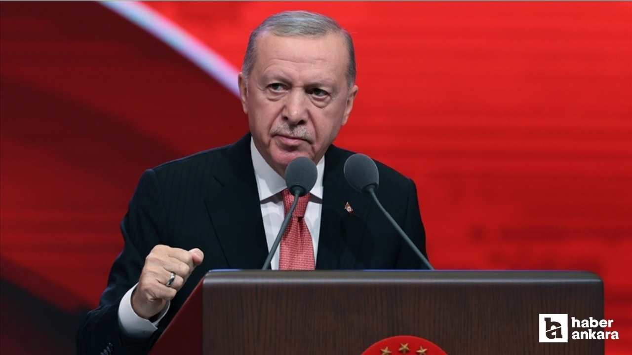 Cumhurbaşkanı Erdoğan'ın söylediği iddia edilen sözleri DMM yalanladı