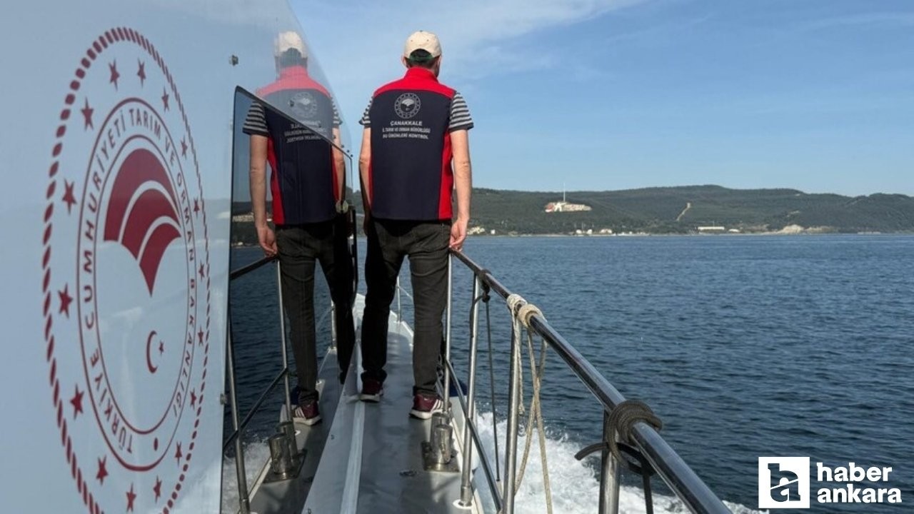 Türkiye genelinde geçen sene 200 binden fazla balıkçılık denetimi yapıldı