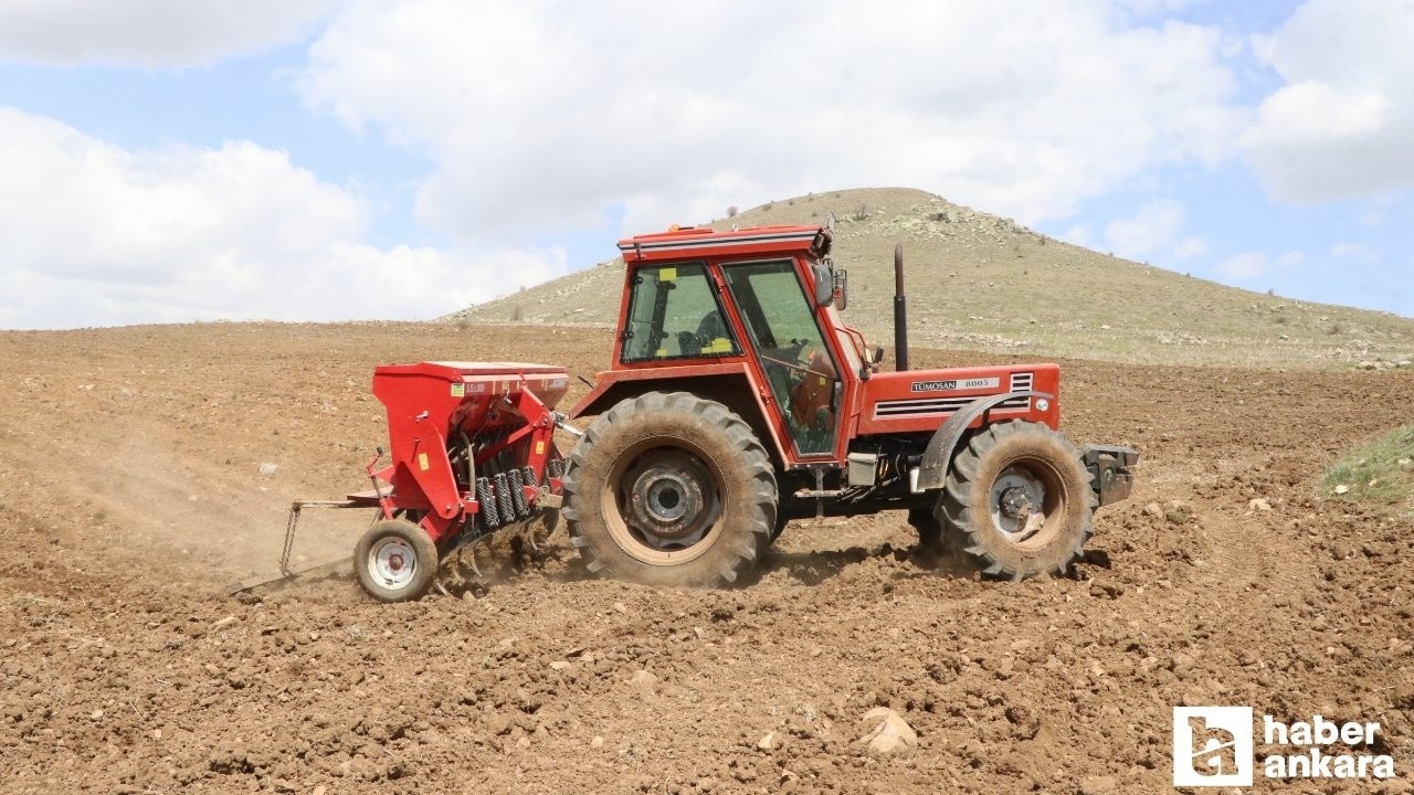 Yozgat'ta tarım işçileri nohut üretiminde yüksek rekolte bekliyor