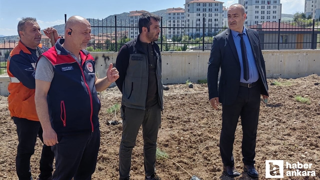 Kırıkkale'de 150 fidan toprak ile buluşturuldu