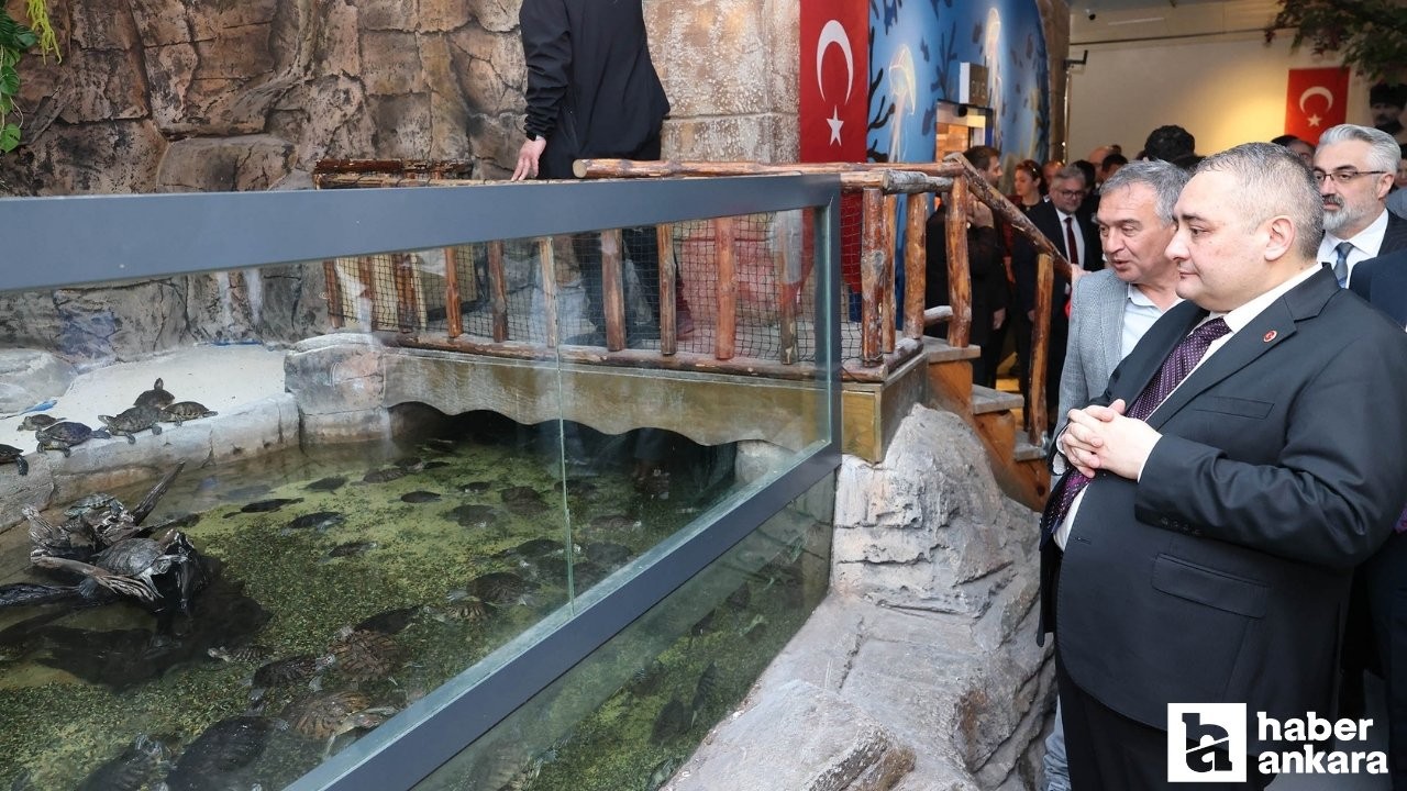 Keçiören'de Deniz Dünyası yenilendi: Ziyaretçilerini bekliyor