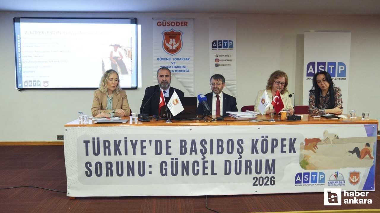 Başıboş köpek meselesi hakkında Ankara'da panel düzenlendi